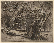 Untitled (Wooded Landscape)