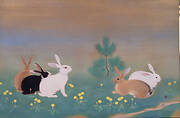 Hares playing in the Spring Field