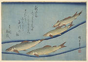 Trout (ai) with inscription