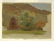 Autumn landscape