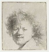 Self-portrait with long bushy hair: head only