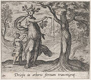 Plate 87: Dryope Changed into a Lotus Tree (Driope in arboris formam transmigrat), from Ovid's 'Metamorphoses'