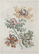 New Suite of Portfolios of Flowers Ideal to Use for Designing and Painting: Floral Fantasies