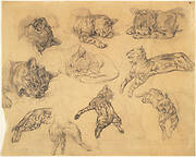 Studies of a Cat; verso: Study of a horse's hoof