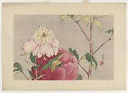 Peonies, from the series Seitei's Flowers and Birds