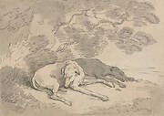 Two Greyhounds Lying under a Tree