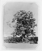 Landscape with Tree and a Village in the Distance (from Cropsey Album)