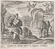 Plate 66: Cycnus and Hyrie (Cygnus in olorem Hiere in stagnum vertuntur), from Ovid's 'Metamorphoses'