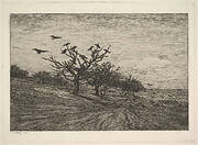 Tree Filled with Crows