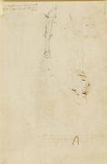 R: Horses' fore-legs. V: Sketch of Leonardo, the head of a youth and a horse’s legs