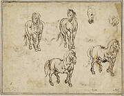 Studies of Horses [recto]