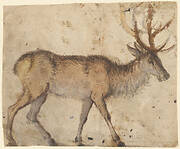 Study of a Stag (recto); Study of Goats (verso)