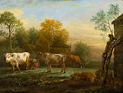 Cattle in a Meadow