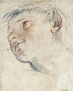 Study for the Head of a Faun