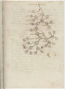 Madrid Manuscript II