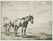 Two plough horses