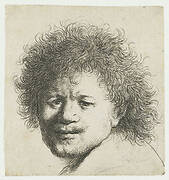 Self-portrait with long bushy hair: head only