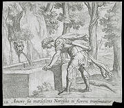 Narcissus at the Well