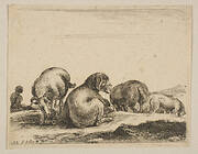 Plate 12: sheep and ram in a pasture, from 'Various animals' (Diversi animali)