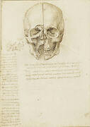 Recto: The cranium sectioned. Verso: The skull sectioned