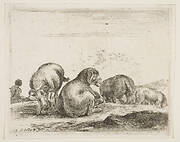 Plate 12: sheep and ram in a pasture, from 'Various animals' (Diversi animali)