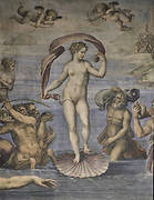 The birth of Venus