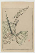 Lotus Seeds and Mouse, from Seitei's Picture Album of Birds and Flowers Vol. 2