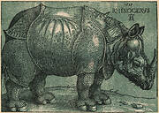 The Rhinoceros