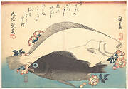 魚づくし　ひらめ　めばるに桜|Hirame and Mebaru Fish with Cherry Blossoms, from the series Uozukushi (Every Variety of Fish)