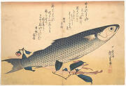 魚づくし　ぼらにうど|Bora Fish with Camellia, from the series Uozukushi (Every Variety of Fish)