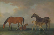 Mares and Foals, facing left