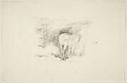 Study of a Horse