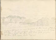 Landscape with Umbrella Pines and Distant Mountain (Smaller Italian Sketchbook, leaf 41 recto)