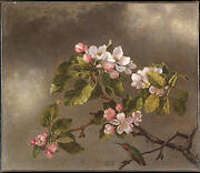 Hummingbird and Apple Blossoms