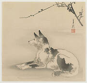 Black and white dog with plum blossom