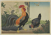 Hen Rooster and Dragon-Fly (Reprint)