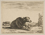 Plate 13: buffalo lying down, from 'Various animals' (Diversi animali)