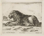 Plate 5: reclining lion, from 'Various animals' (Diversi animali)