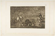 Plate C: The dogs let loose on the bull.