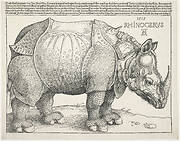 Rhinoceros