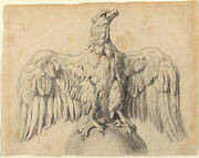 The Capitoline Eagle