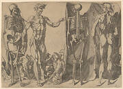 Two Flayed Men and Their Skeletons