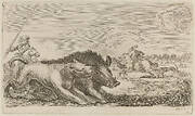 Boar Chased by a Dog