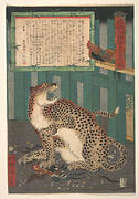 「今昔未見　生物猛虎之真図」|Never Seen Before: True Picture of a Live Wild Tiger (Konjaku miken, Ikimono mōko no shinzu)