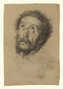 Head of Saint Francis (recto); Studies of the Head of Saint Francis, Head of an Old Man, and Two Right Hands (verso)