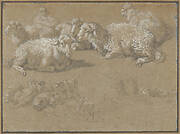 Reclining Sheep in a Landscape