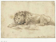 Reclining Lion