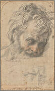 Study for the Head of Saint Joseph (recto); Two Studies of Legs (verso)