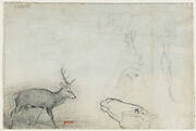 Studies of Animals (verso)