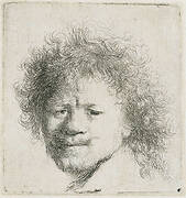 Self-portrait with long bushy hair: head only